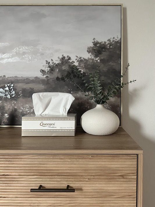 Queenex Ultra Soft Facial Tissues, 150 Tissues per Box